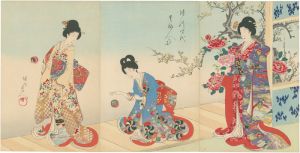 徳川時代　貴婦人の図