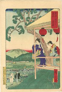 Hiroshige III / Famous Places of Tokyo / The Iris Garden at Horikiri  [東京名所　堀切之菖蒲]