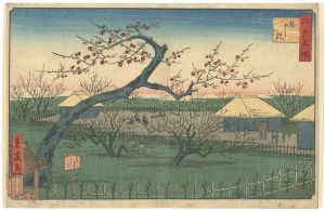 Shigenobu / Famous Places in Edo / Plum Garden [江戸名所　梅屋敷]