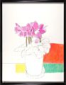 Cyclamen