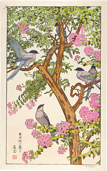 Yoshida Toshi “百日紅に集う”