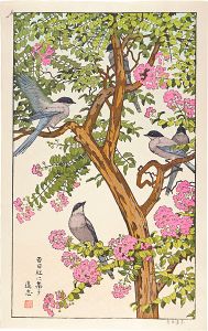 Yoshida Toshi / 百日紅に集う