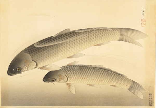Ono Bakufu “Fish of Japan / The Magoi (Black Carp) ”