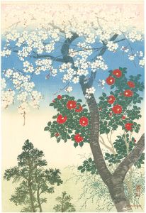 Kawatsura Yoshio (Negoro Raizan) / Cherry blossoms and Camellia