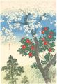 Cherry blossoms and Camellia