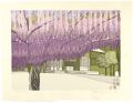 8 Views of Chofu / Wisteria Sh......