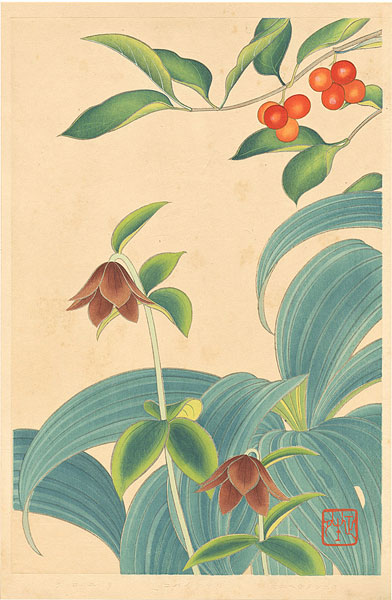 Inoue Masaharu “Japanese Alpine Plants / Lonicera Vidalii, Veratrum Stamineum and Fritillaria Camschatcensis”