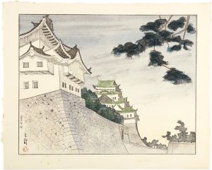 Yamagishi Kazue / Nagoya Castle
