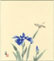 Iris and Dragonfly(tentative t......