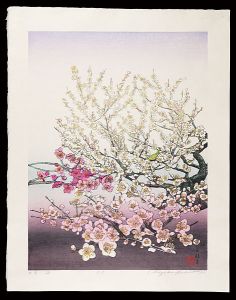 Yoshida Chizuko / Shiai(Chrysanthemum, Lotus, Plum, Orchid) - Plum
