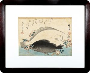 Hiroshige I / A Series of Fish Subjects / Flounder, Rockfish and Cherry Blossoms [魚づくし　ひらめ・めばるに桜]