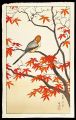 The Ease of Autumn leaves