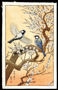 Yoshida Toshi / Flying Around the Plum Tree 