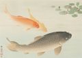 魚公悠々図