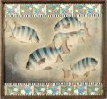 Fish of Japan / The Ishidai (R......