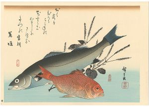Hiroshige I / A Series of Fish Subjects / Sea bass, Splendid alfonsino and Japanese basil(Shiso)【Reproduction】 [魚づくし　すずき・金目鯛にしそ【復刻版】]