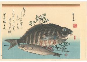 Hiroshige I / A Series of Fish Subjects / Barred knifejaw, Greenling and Heavenly bamboo【Reproduction】 [魚づくし　しまだい・あいなめに南天【復刻版】]