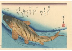 Hiroshige I / A Series of Fish Subjects / Carp【Reproduction】 [魚づくし　鯉【復刻版】]