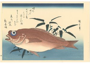 Hiroshige I / A Series of Fish Subjects / Goby and Bamboo grass【Reproduction】 [魚づくし　赤魚に笹葉【復刻版】]
