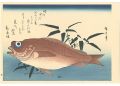 A Series of Fish Subjects / Go......