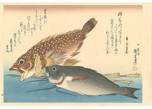 Hiroshige I / A Series of Fish Subjects / Scorpionfish, Chicken grunt and Ginger【Reproduction】 [魚づくし　かさご・いさきに薑【復刻版】]