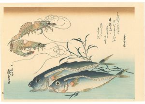 Hiroshige I / A Series of Fish Subjects / Prawn, Horse mackerel and Smartweed【Reproduction】 [魚づくし　車海老・鯵にたで【復刻版】]