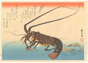 Hiroshige I / A Series of Fish Subjects / Lobster, Prawn【Reproduction】 [魚づくし　伊勢海老・芝蝦【復刻版】]