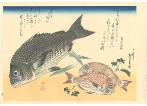 Hiroshige I / A Series of Fish Subjects / Black sea bream, Small sea bream and Japanese pepper【Reproduction】 [魚づくし　黒鯛・小鯛に山椒【復刻版】]