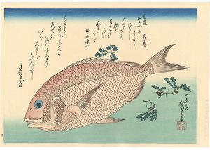 Hiroshige I / A Series of Fish Subjects / Sea bream and Japanese pepper【Reproduction】 [魚づくし　鯛に山椒【復刻版】]
