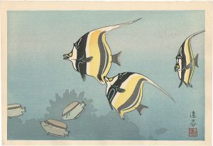 Yoshida Toshi / Hawaiian Fishes B