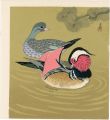 Mandarin Ducks (tentative titl......