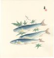 Sweetfish (tentative title)