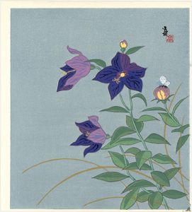 Tokuriki Tomikichiro / Balloon Flowers and a Butterfly (tentative title)