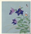 Balloon Flowers and a Butterfl......