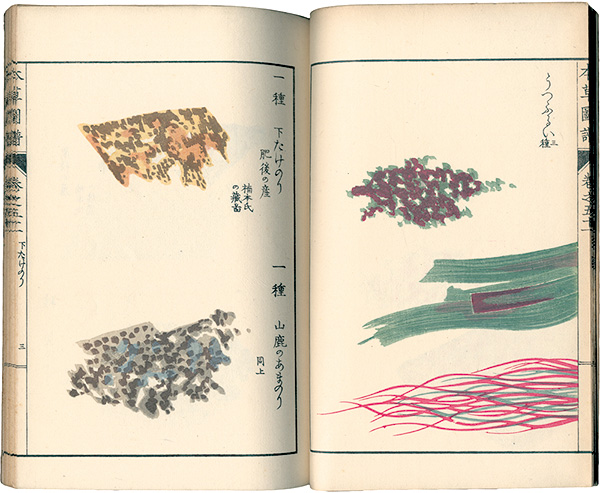“Illustrated Herbal, Manual of Medicinal Plants Vol. 51: Vegetables/ Water Plants” 岩崎灌園