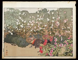 Hollyhock
