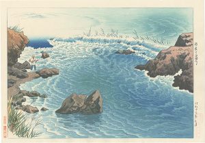 Ten Views of Shinano Province / Chikuma River in Early Summer