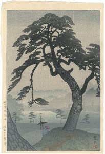 Pine-tree in Rainy Season, Kinokunizaka,Tokyo