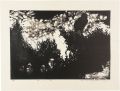 Darkness of The Earth