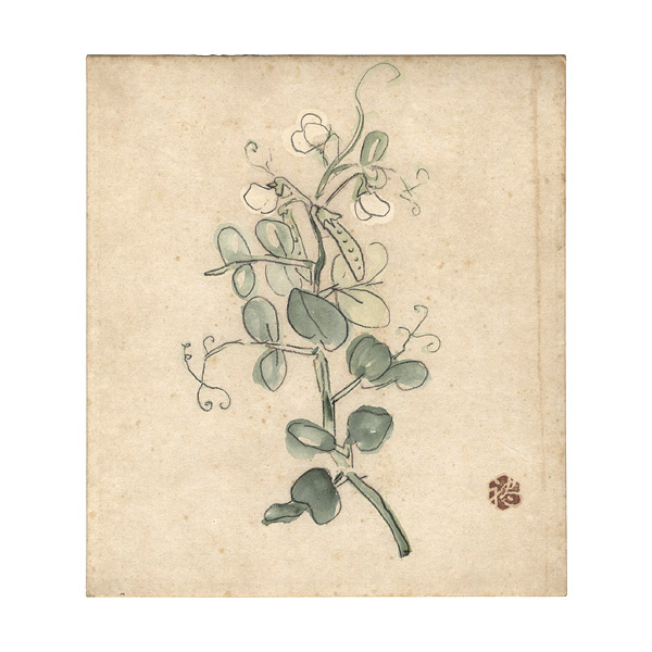 Yokoi Reii “Card for painting”