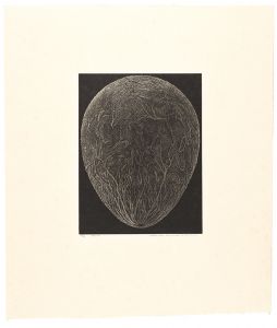 Karasawa Hitoshi / labyrinth