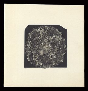 Kurita Masahiro / 眩暈華V