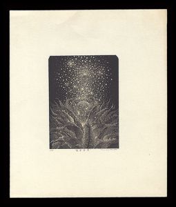 Kurita Masahiro / 眩暈華IIII