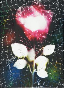 Higashionna Yuichi / Untitled