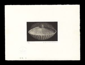 Karasawa Hitoshi / Pearl II
