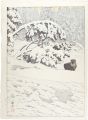 Japanese Antelopes in Snow 