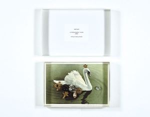 Odd box／a field a home／swan