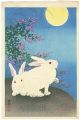 Rabbits and Bush Clover under ......