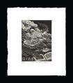 Exlibris