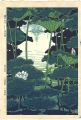 Lotus shadow - Shinobazu Pond